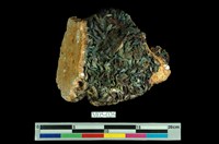 藏品(明礬石)的圖片